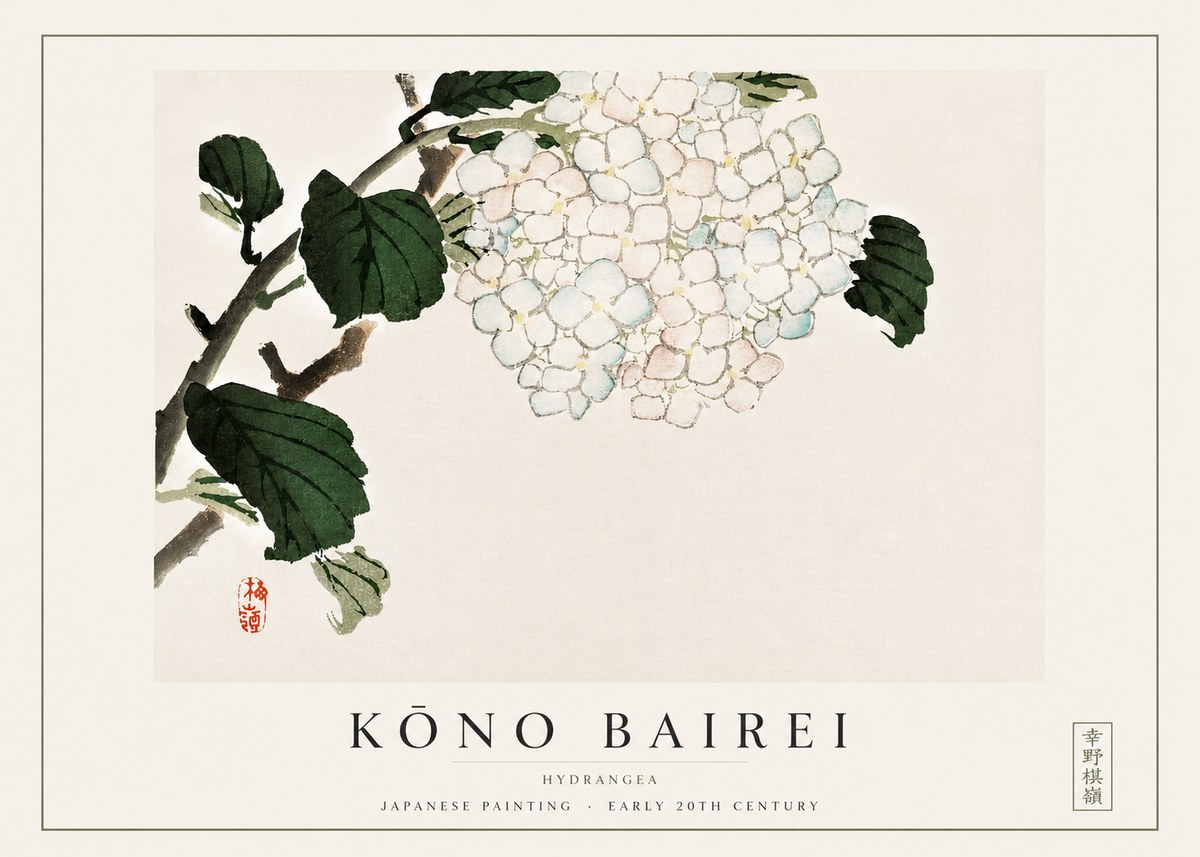 Kōno Bairei Hydrangea No3 - Poszter