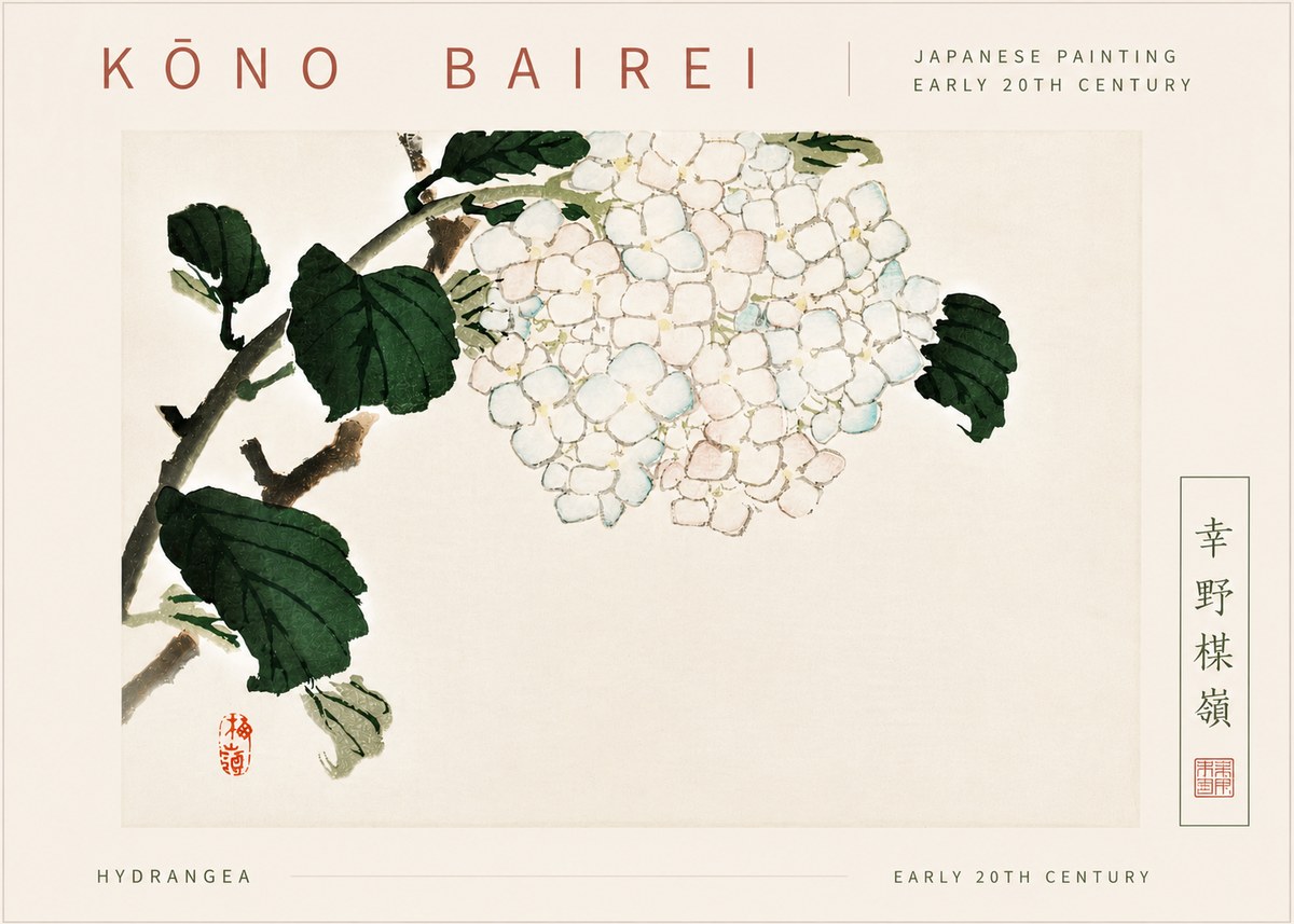 Kōno Bairei Hydrangea No6 - Poszter