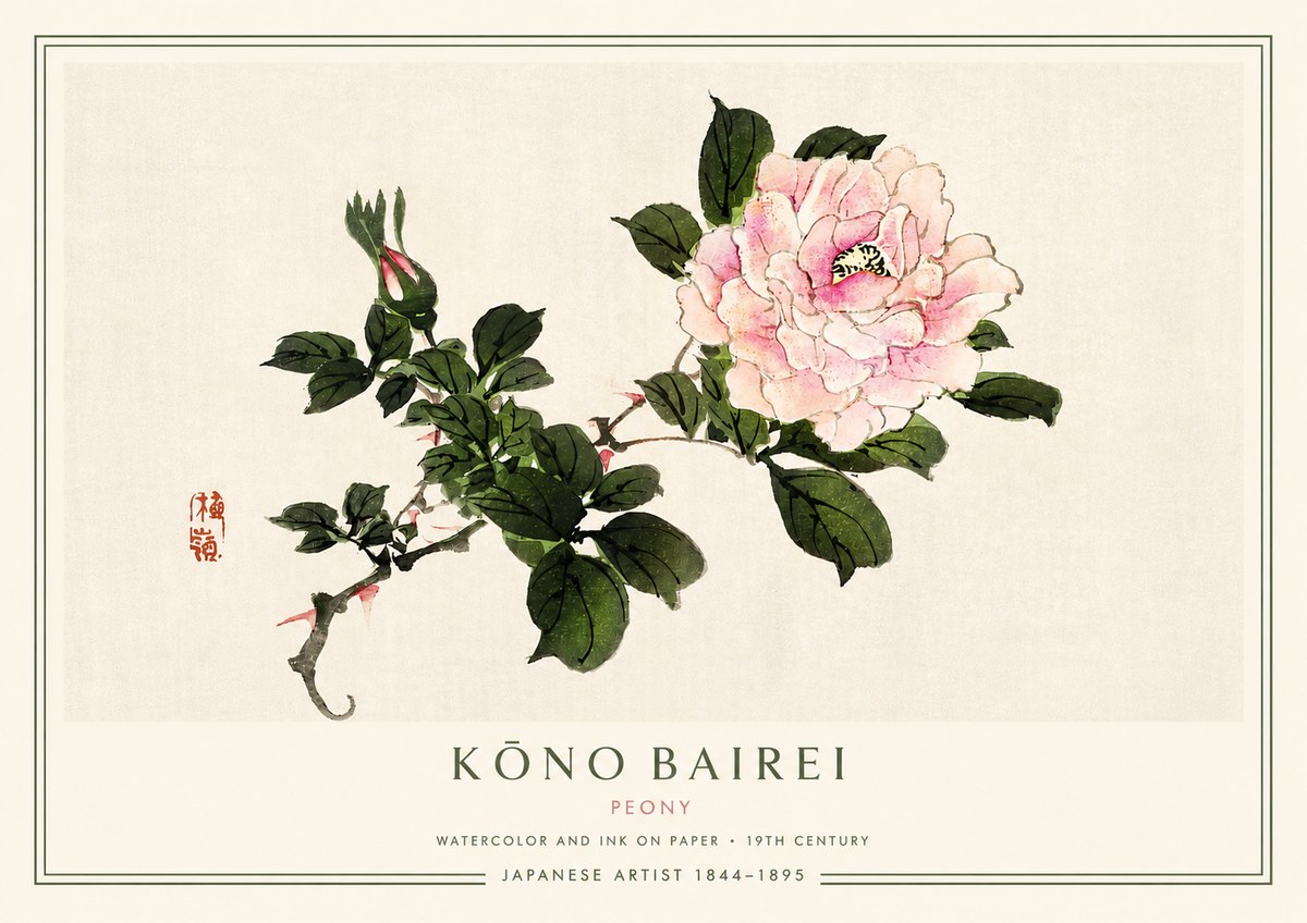 Kōno Bairei Peony I No3 - Poszter