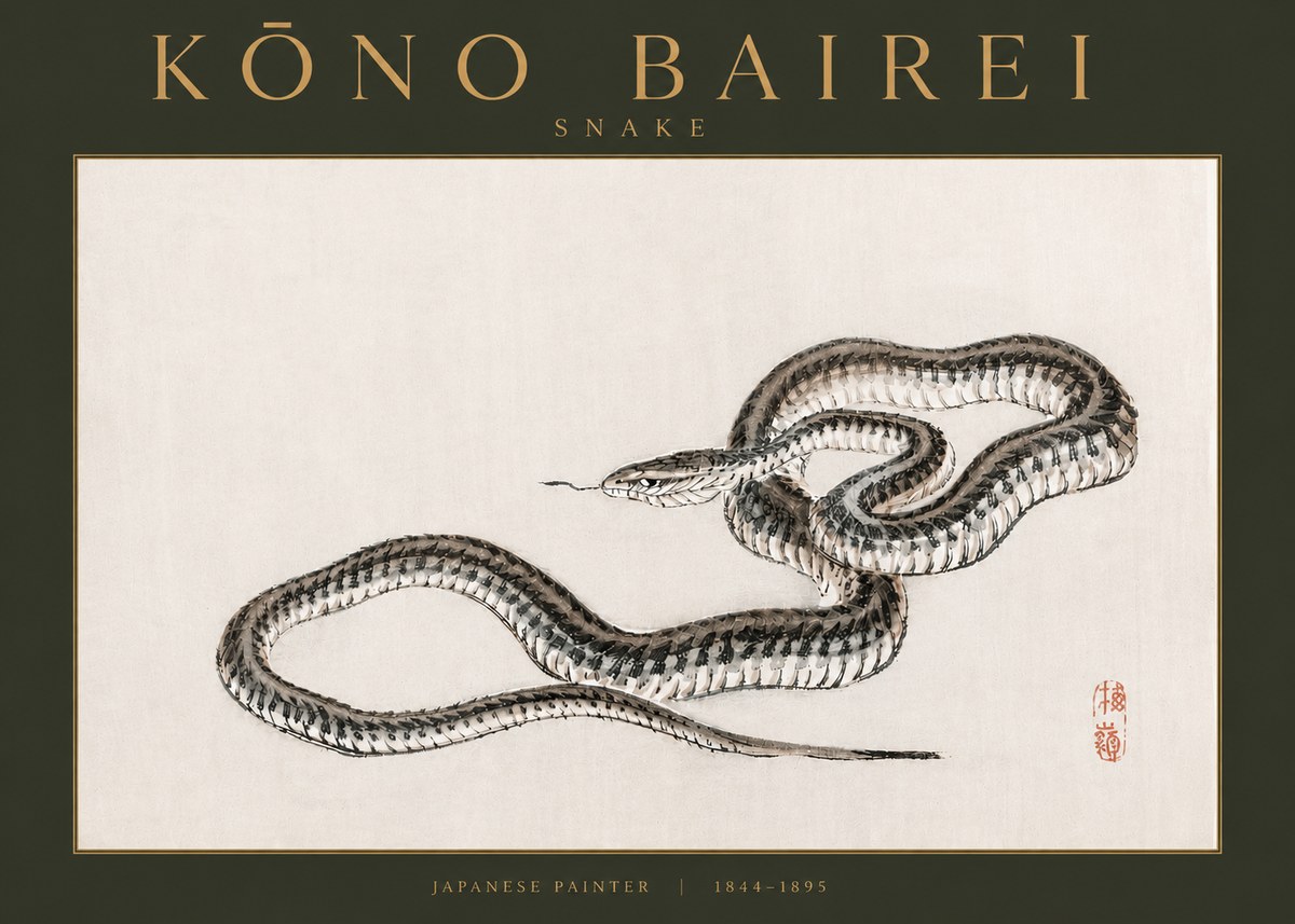 Kōno Bairei Snake No3 - Poszter
