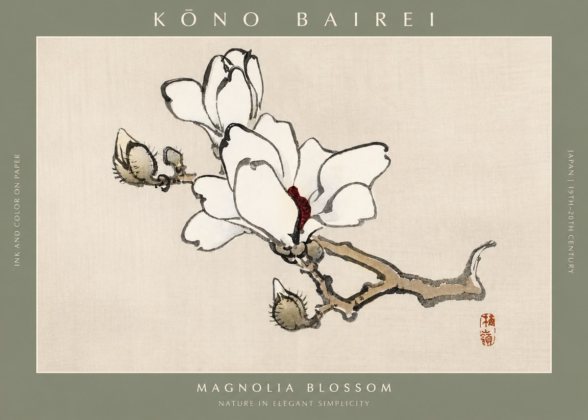 Kōno Bairei Magnolia Blossom No2 - Poszter