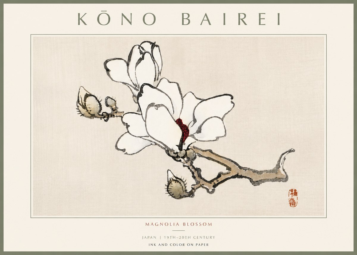 Kōno Bairei Magnolia Blossom No5 - Poszter