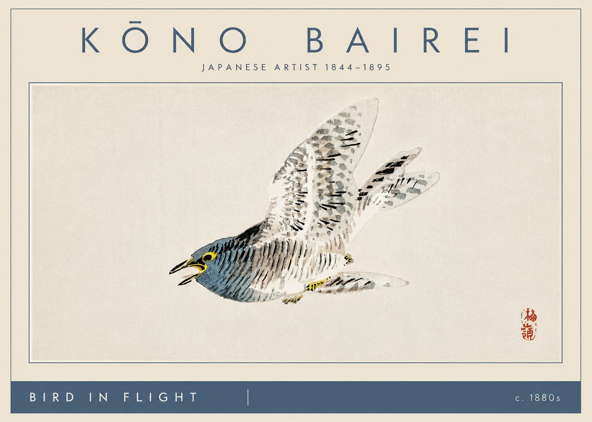 Kōno Bairei Bird in Flight No4 - Poszter