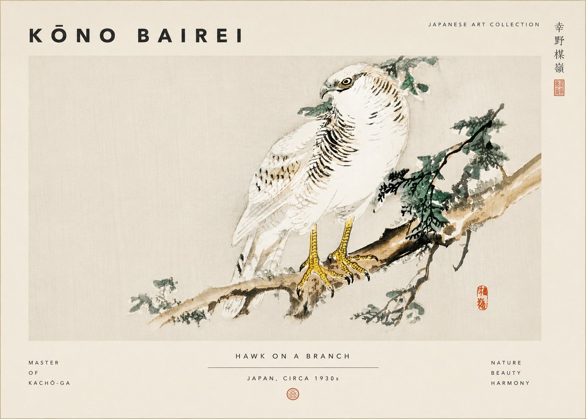 Kōno Bairei Hawk on a Branch No6 - Poszter