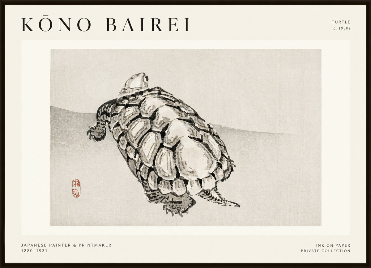 Kōno Bairei Turtle No1 - Poszter