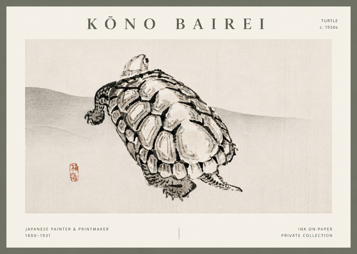 Kōno Bairei Turtle No5 - Poszter