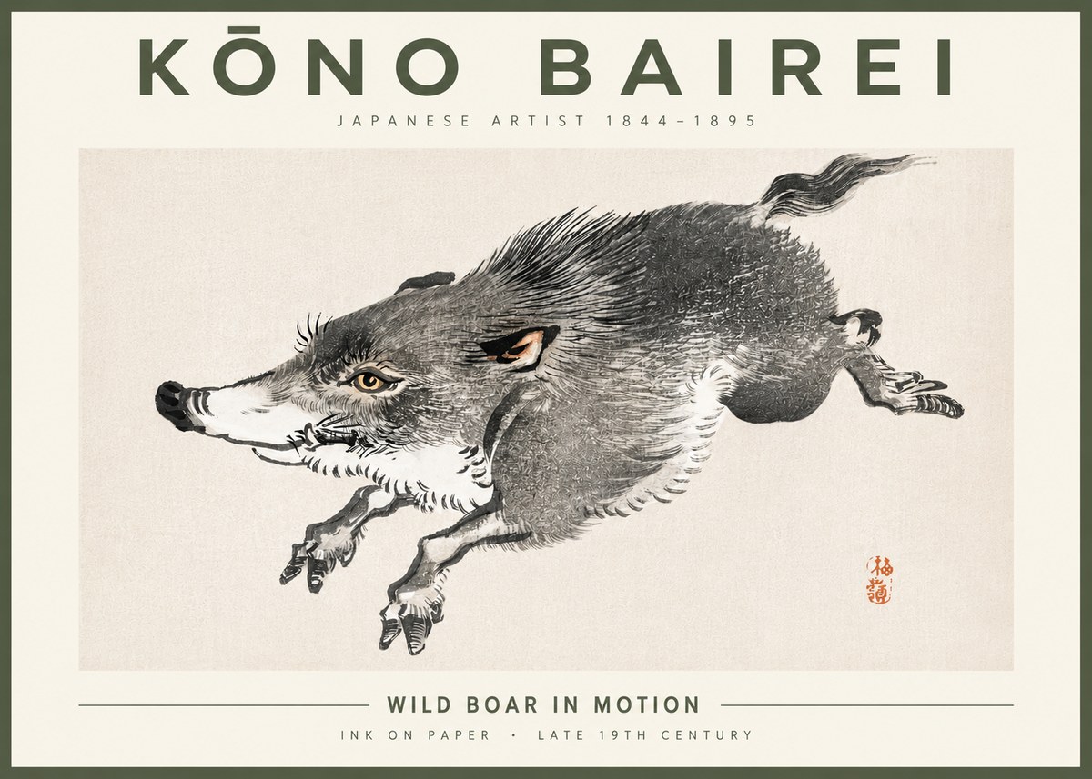 Kōno Bairei Wild Boar in Motion No4 - Poszter
