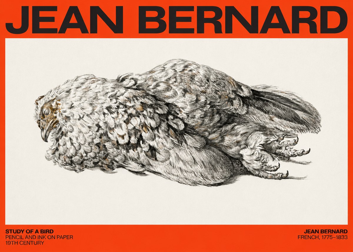 Jean Bernard Study of a Bird I No4 - Poszter