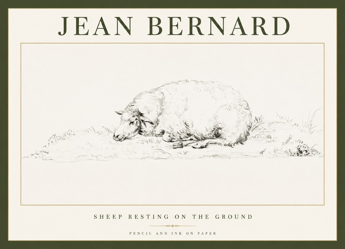 Jean Bernard Sheep Resting on the Ground No1 - Poszter