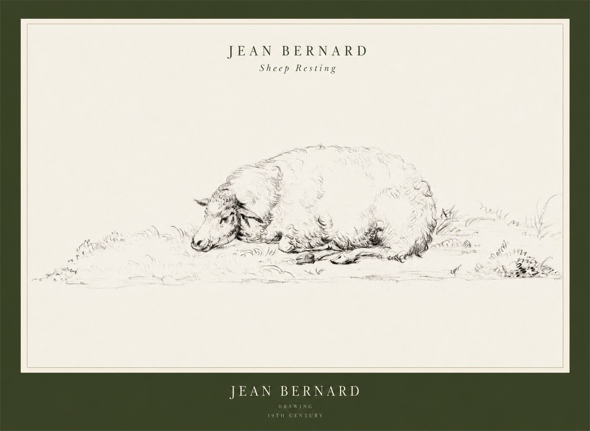 Jean Bernard Sheep Resting on the Ground No3 - Poszter