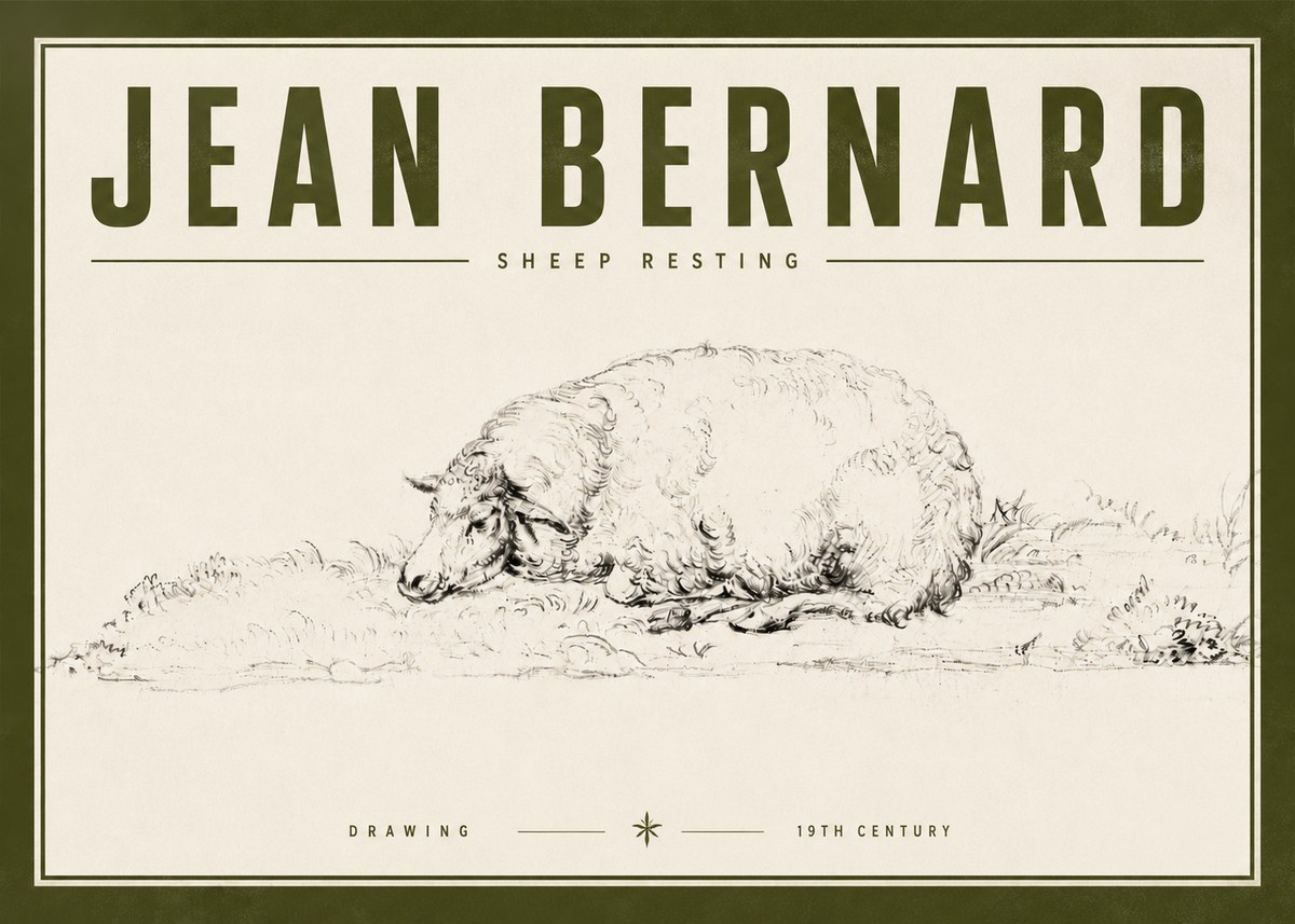 Jean Bernard Sheep Resting on the Ground No6 - Poszter