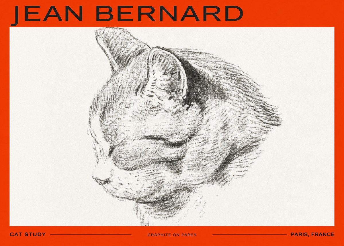 Jean Bernard Cat Study I No2 - Poszter