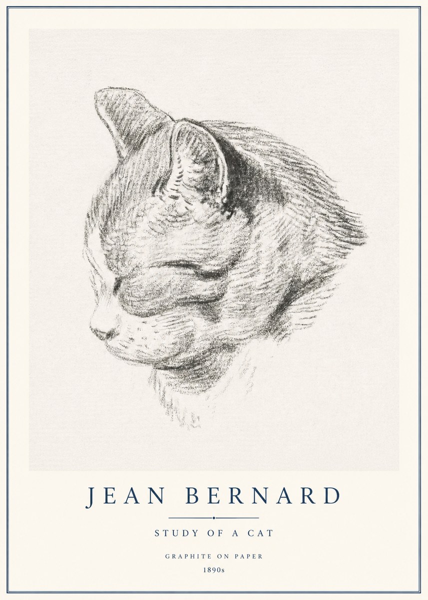 Jean Bernard Cat Study I No3 - Poszter