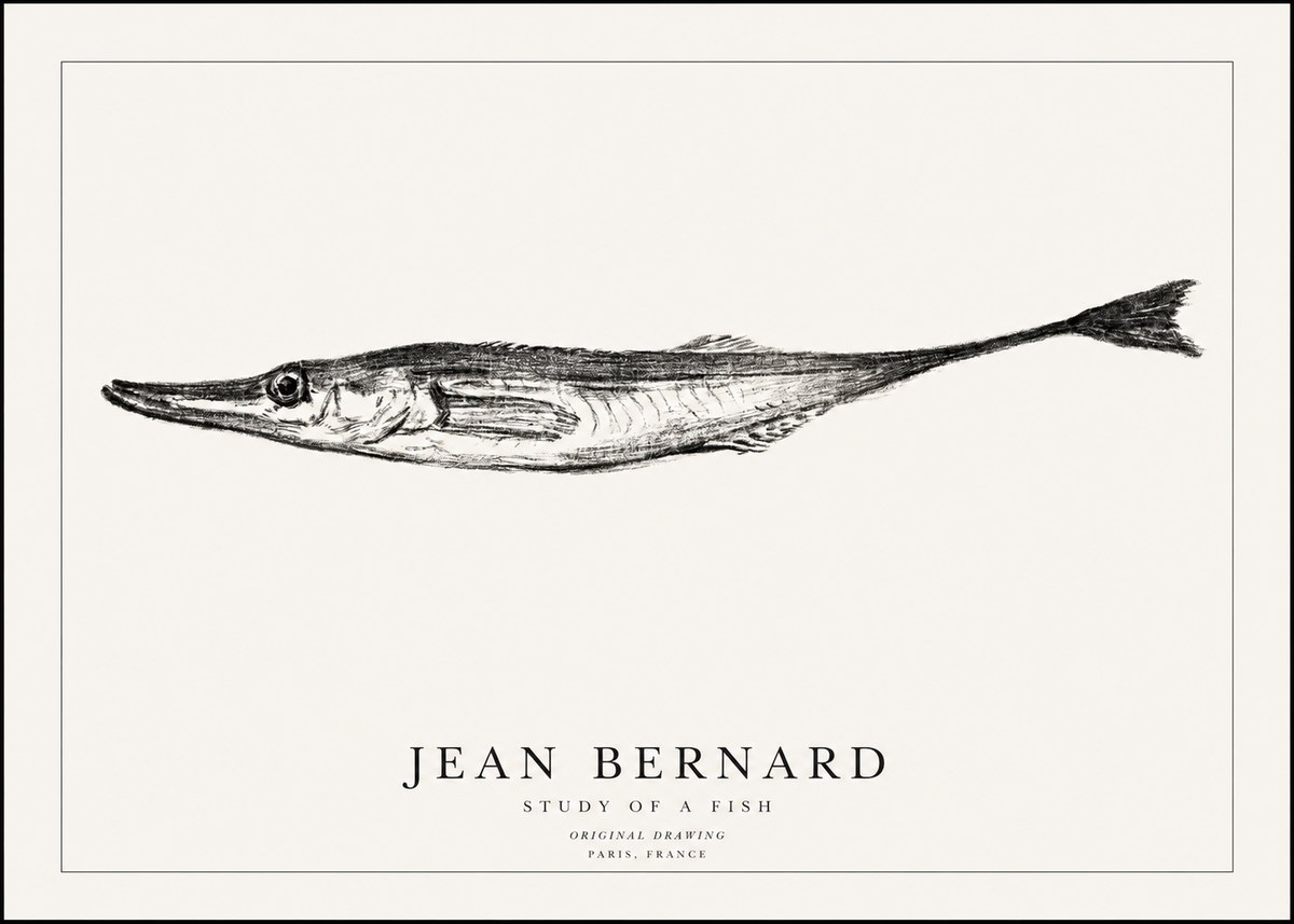 Jean Bernard Study of a Fish I No1 - Poszter