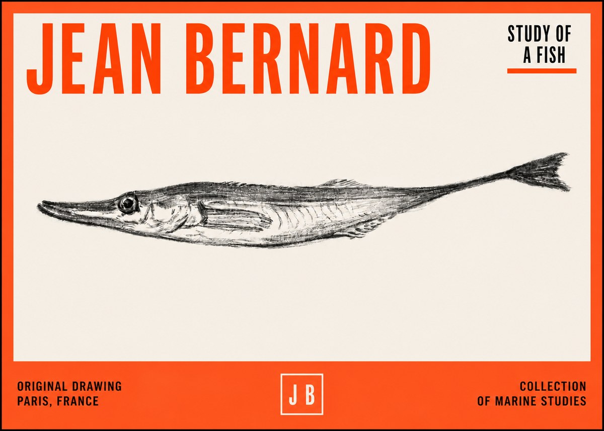 Jean Bernard Study of a Fish I No2 - Poszter