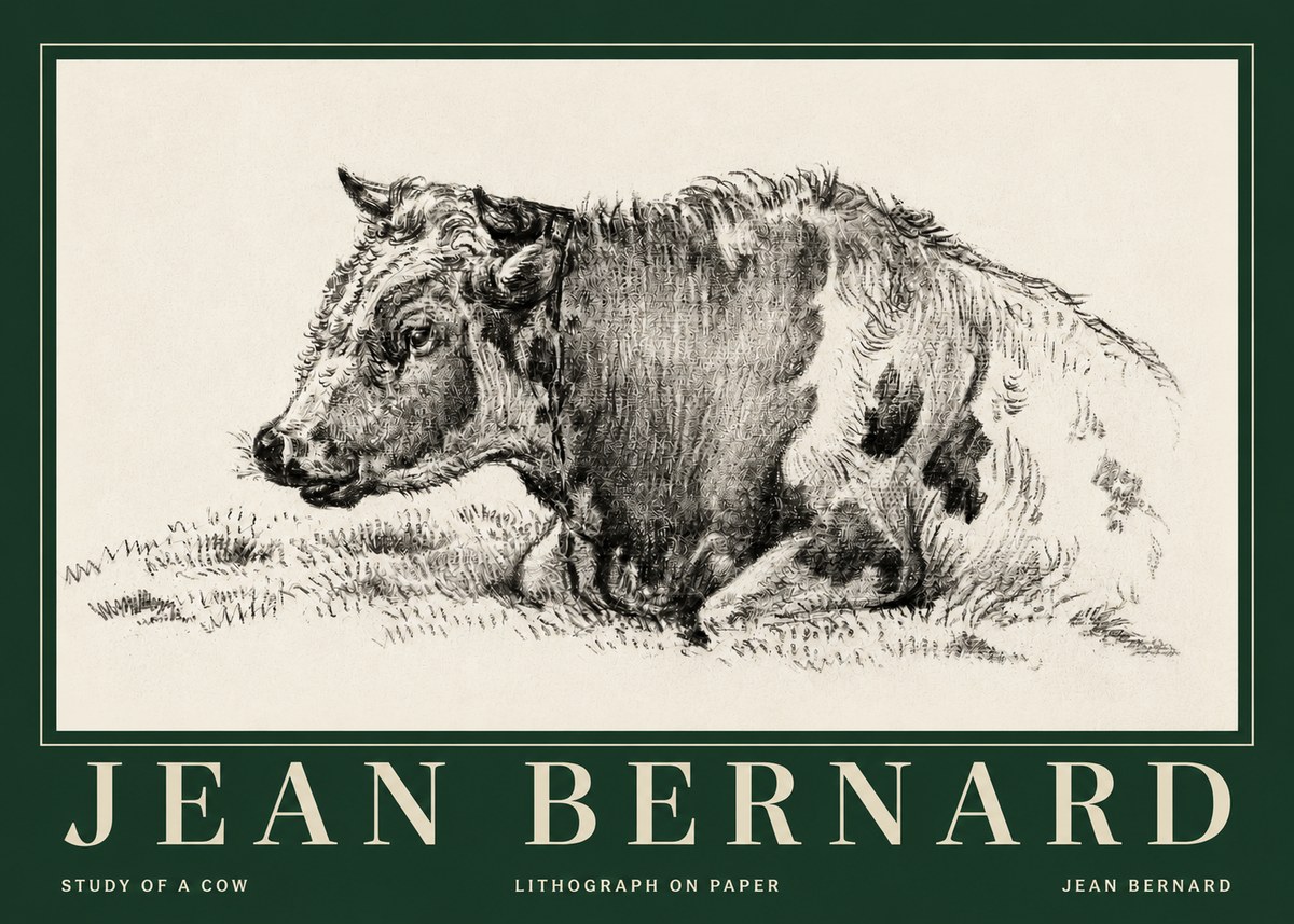 Jean Bernard Resting Cow I No5 - Poszter