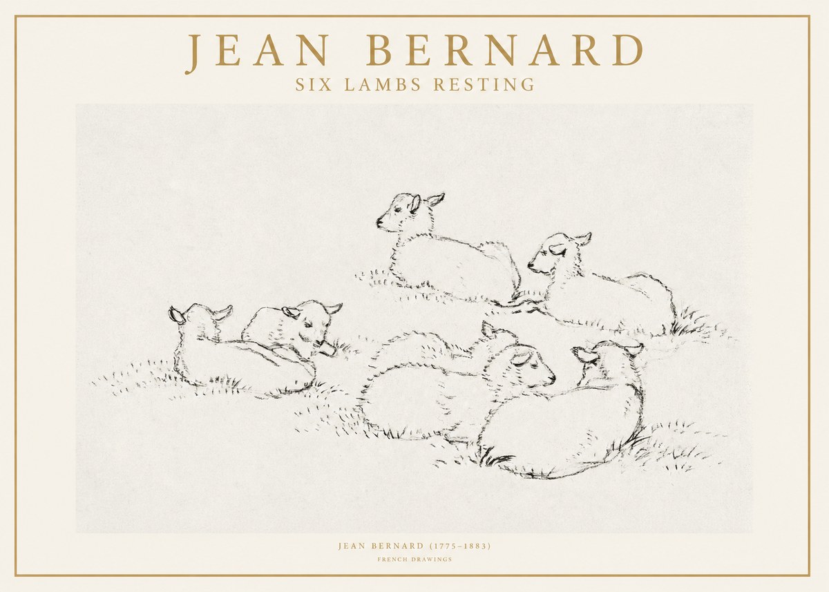 Jean Bernard Study of Lambs No2 - Poszter