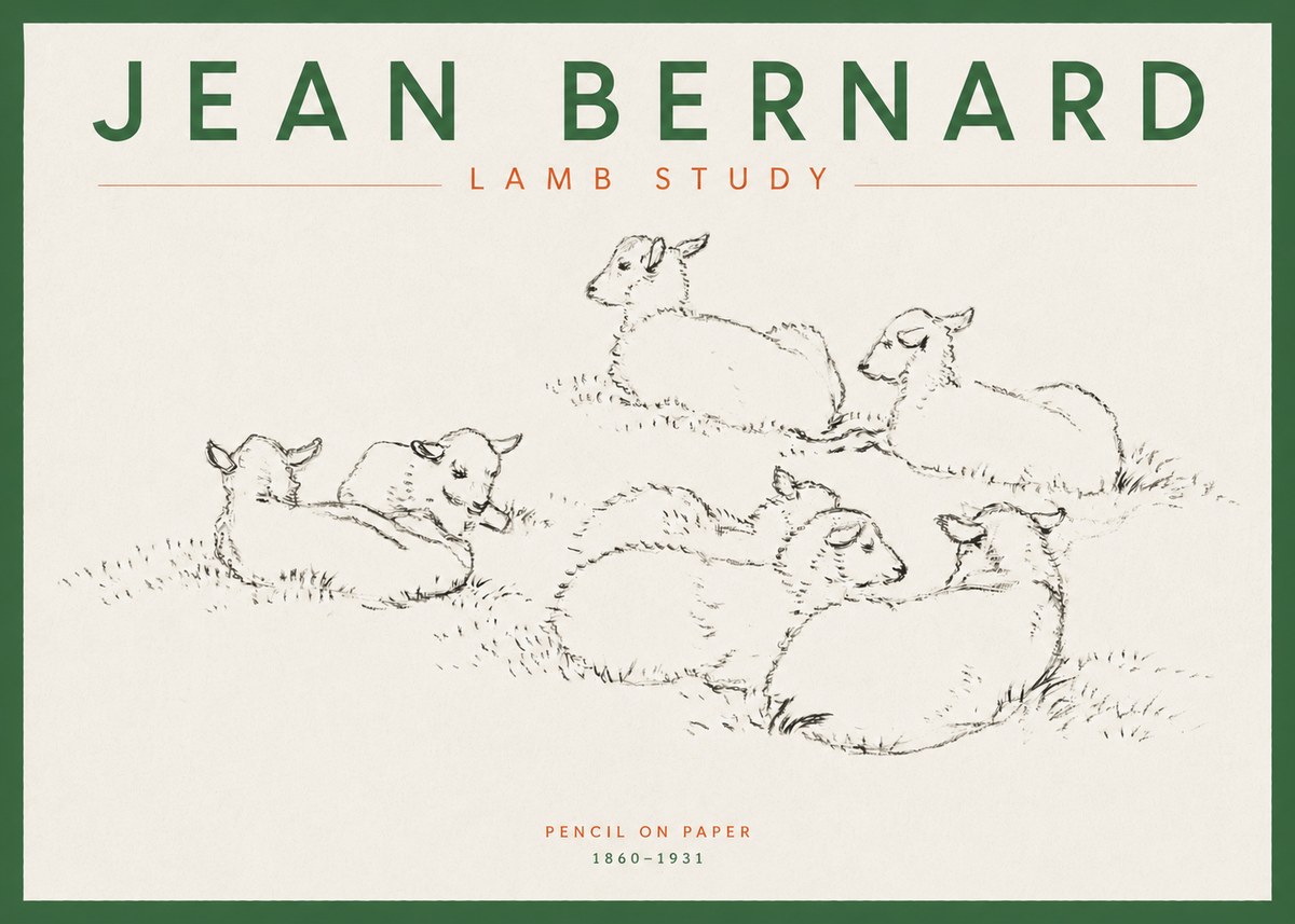 Jean Bernard Study of Lambs No5 - Poszter