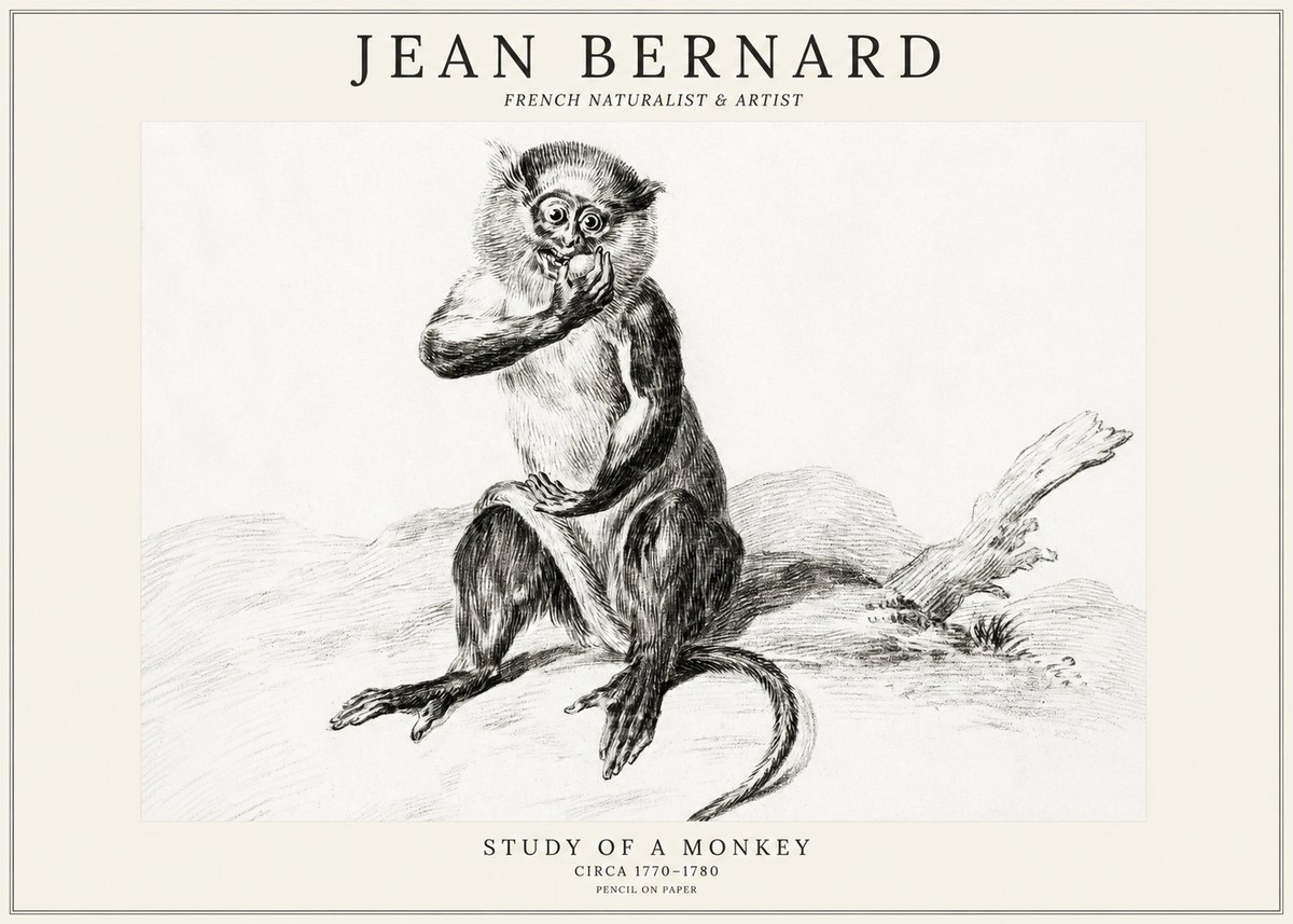 Jean Bernard Study of a Monkey No3 - Poszter