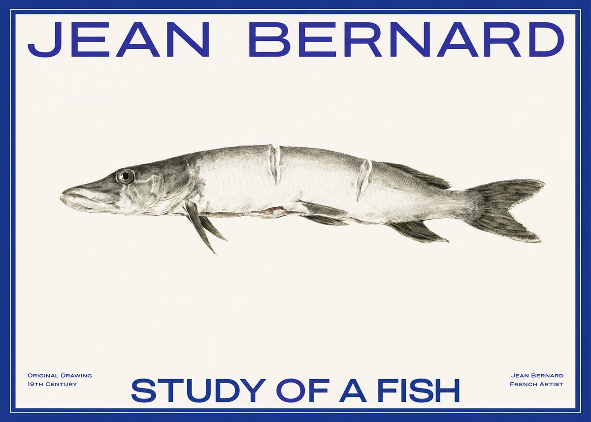 Jean Bernard Study of a Fish II No2 - Poszter