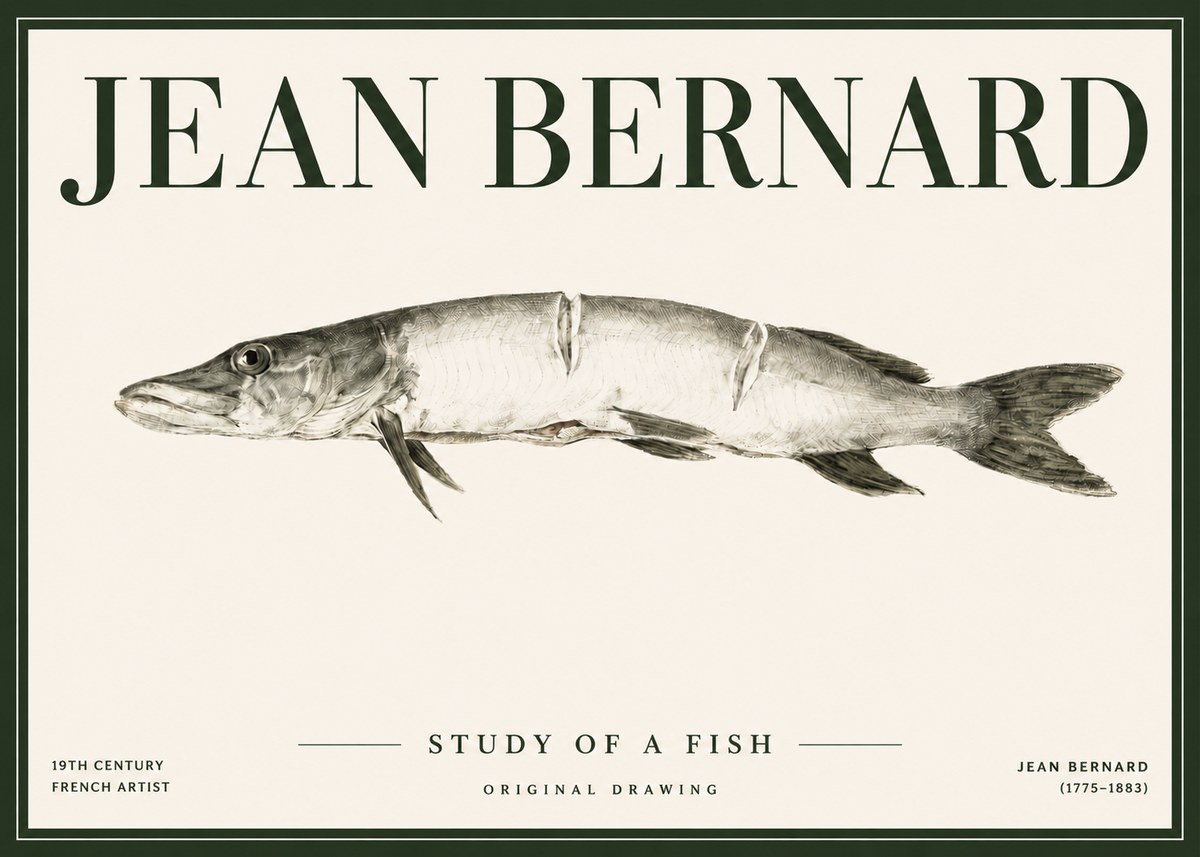 Jean Bernard Study of a Fish II No4 - Poszter