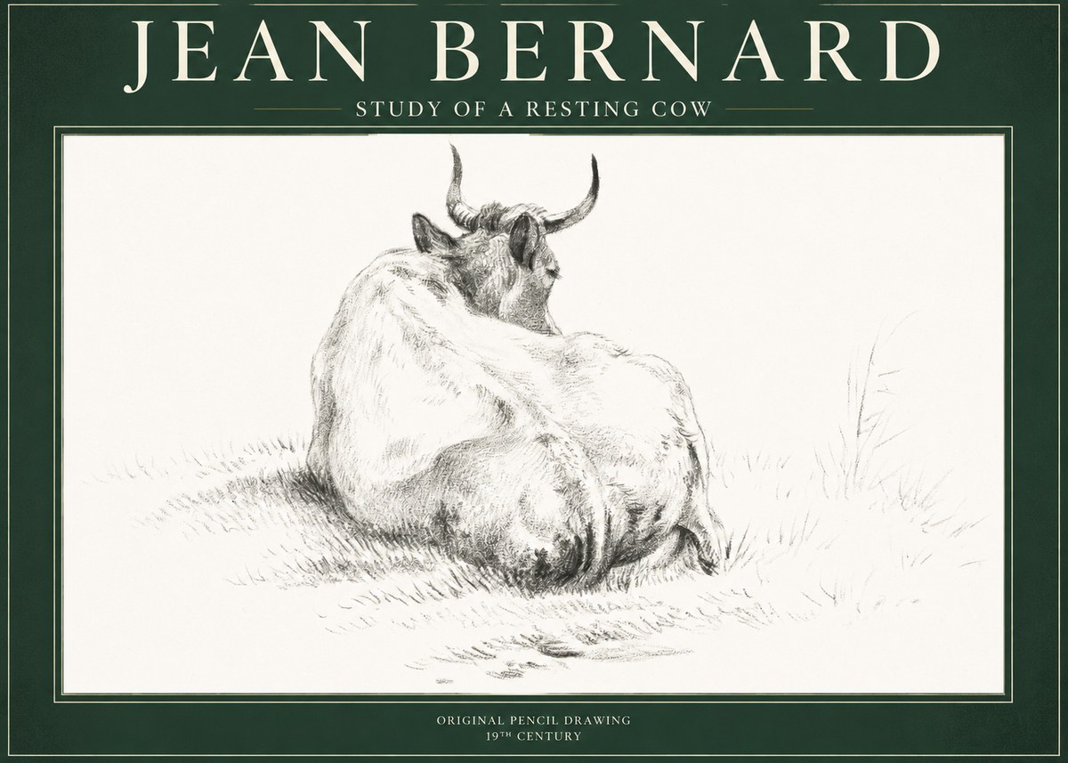 Jean Bernard Study of a Resting Cow I No1 - Poszter