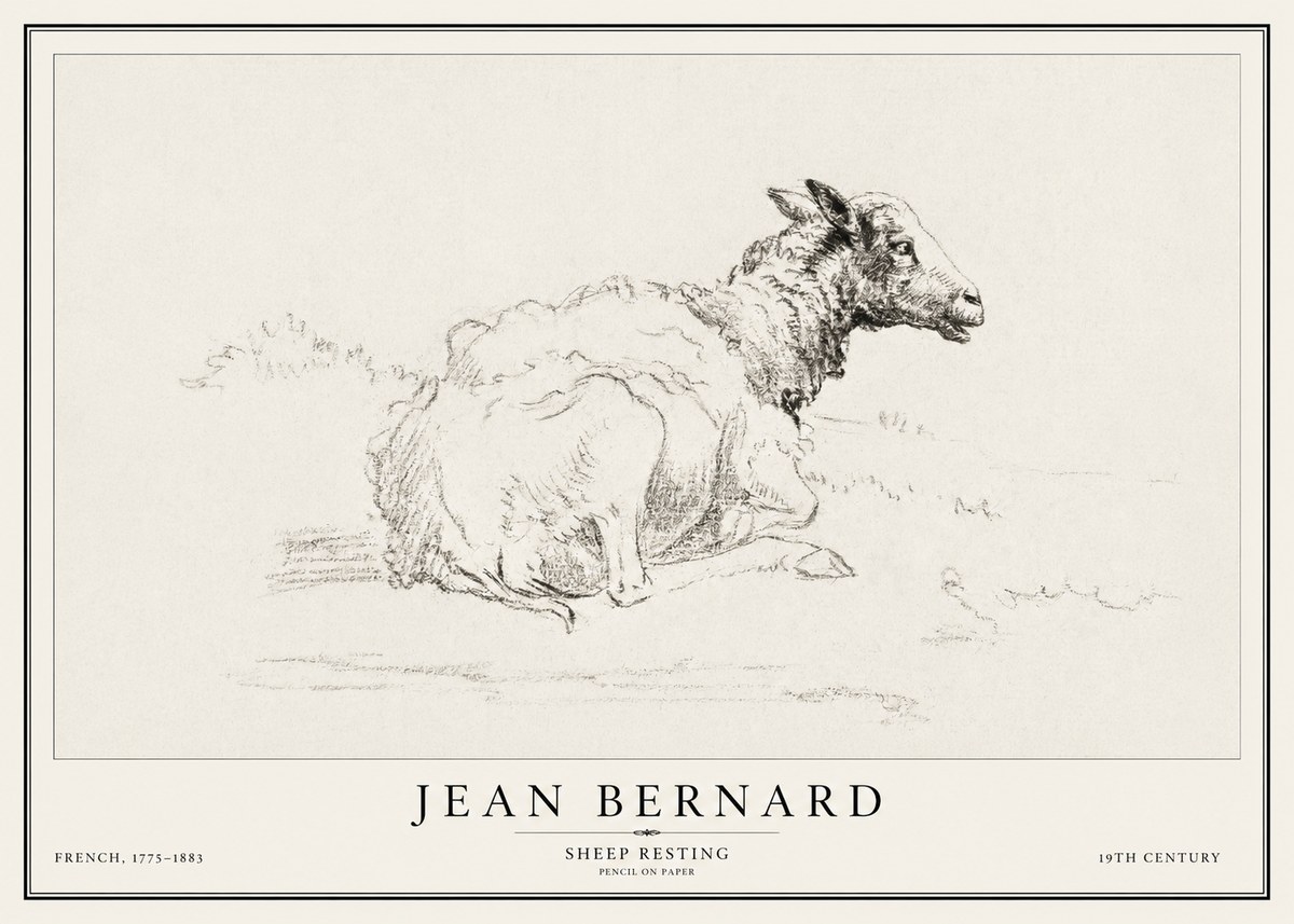 Jean Bernard Sheep Resting No1 - Poszter