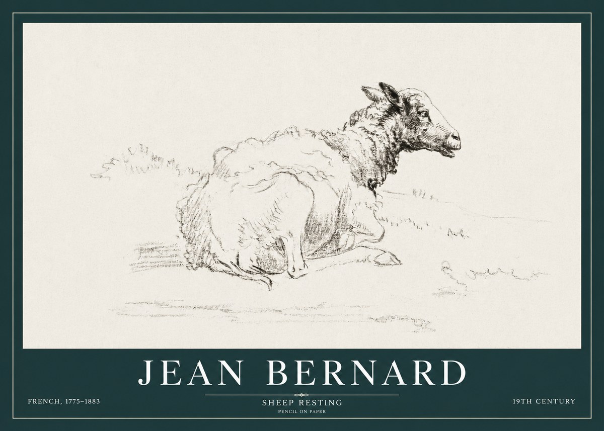 Jean Bernard Sheep Resting No3 - Poszter