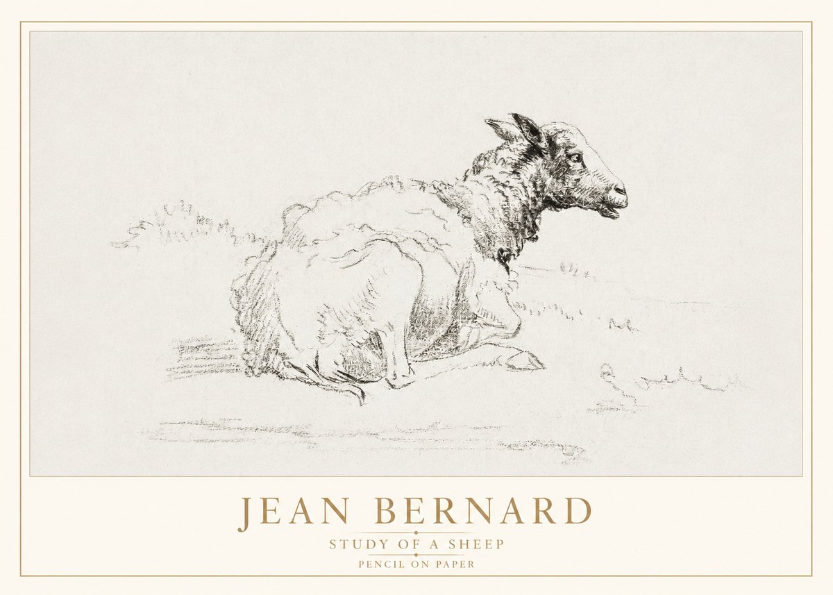 Jean Bernard Sheep Resting No4 - Poszter