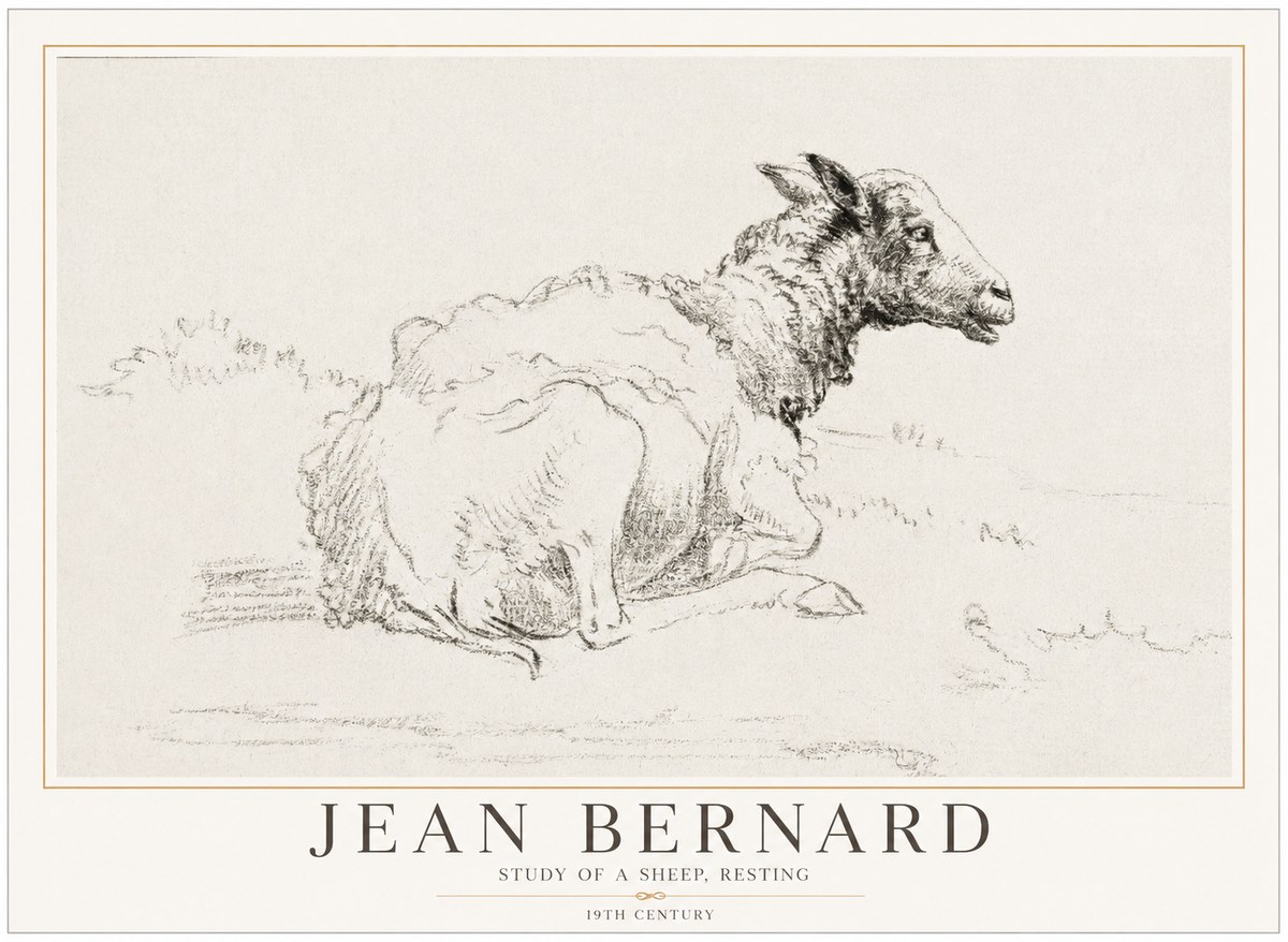 Jean Bernard Sheep Resting No5 - Poszter