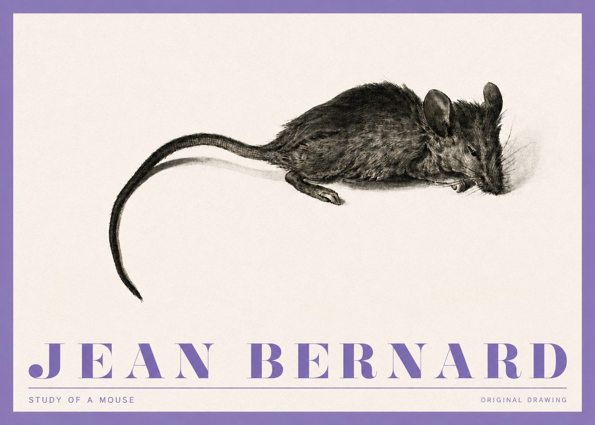 Jean Bernard Study of a Mouse I No4 - Poszter