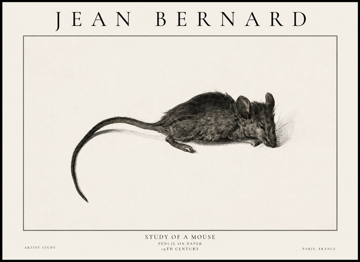 Jean Bernard Study of a Mouse I No6 - Poszter
