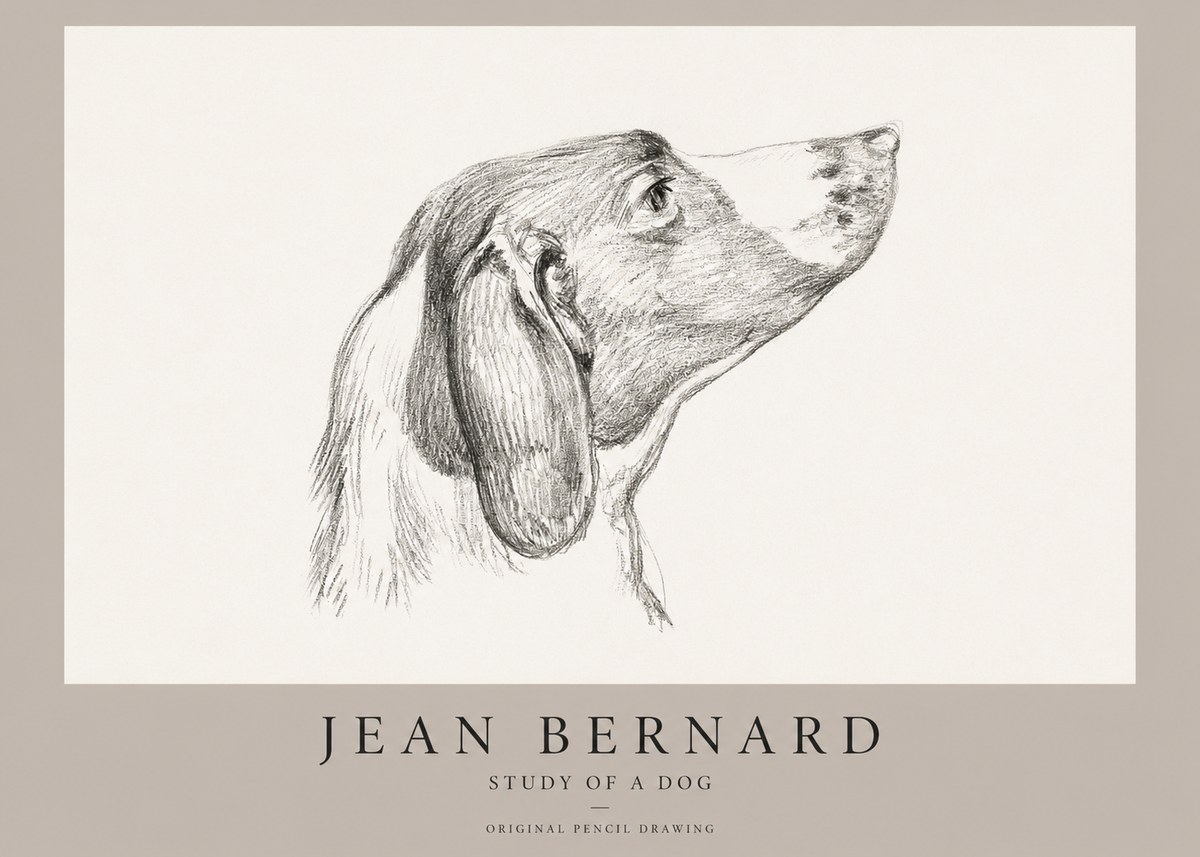 Jean Bernard Study of a Dog I No1 - Poszter
