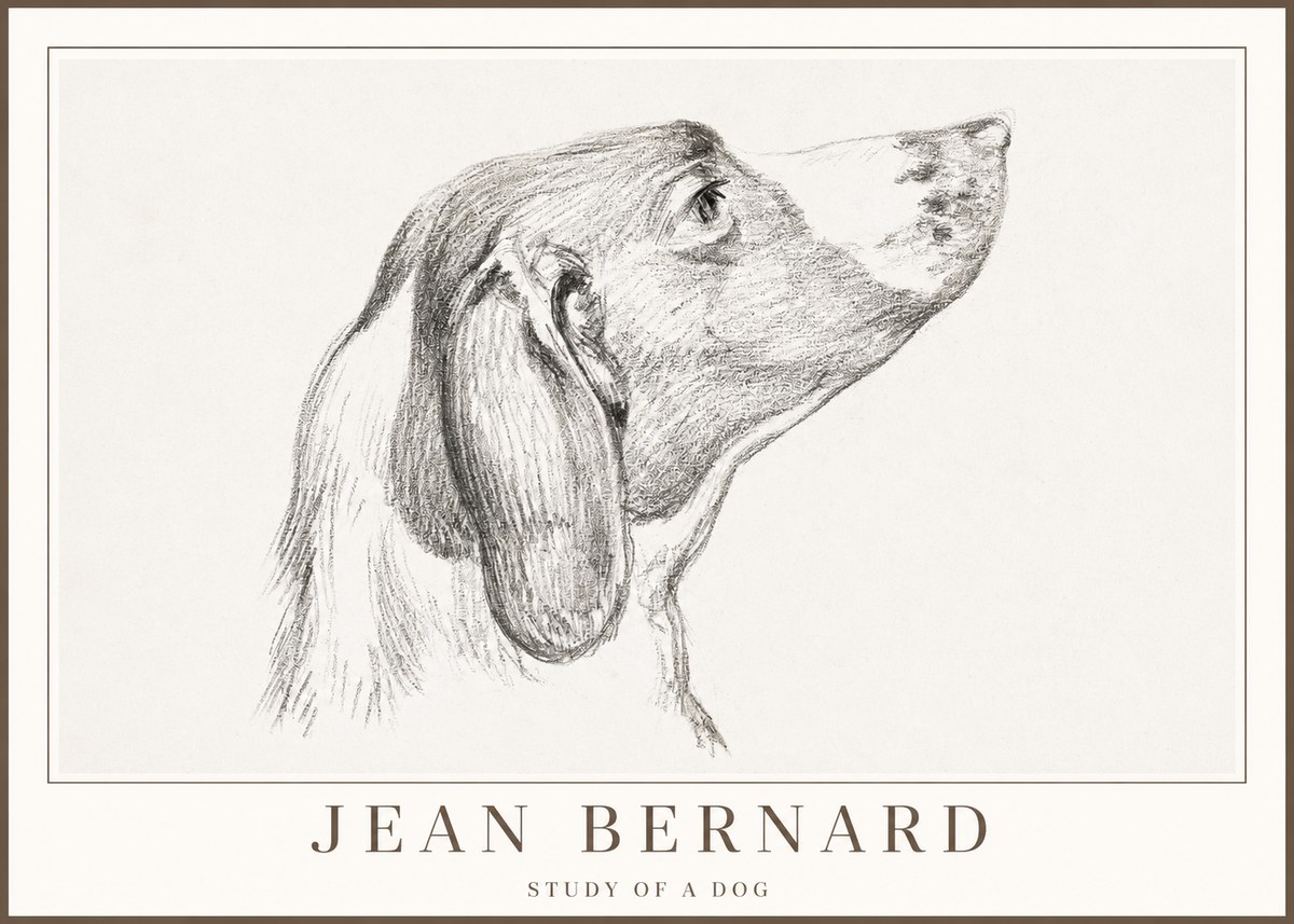 Jean Bernard Study of a Dog I No2 - Poszter