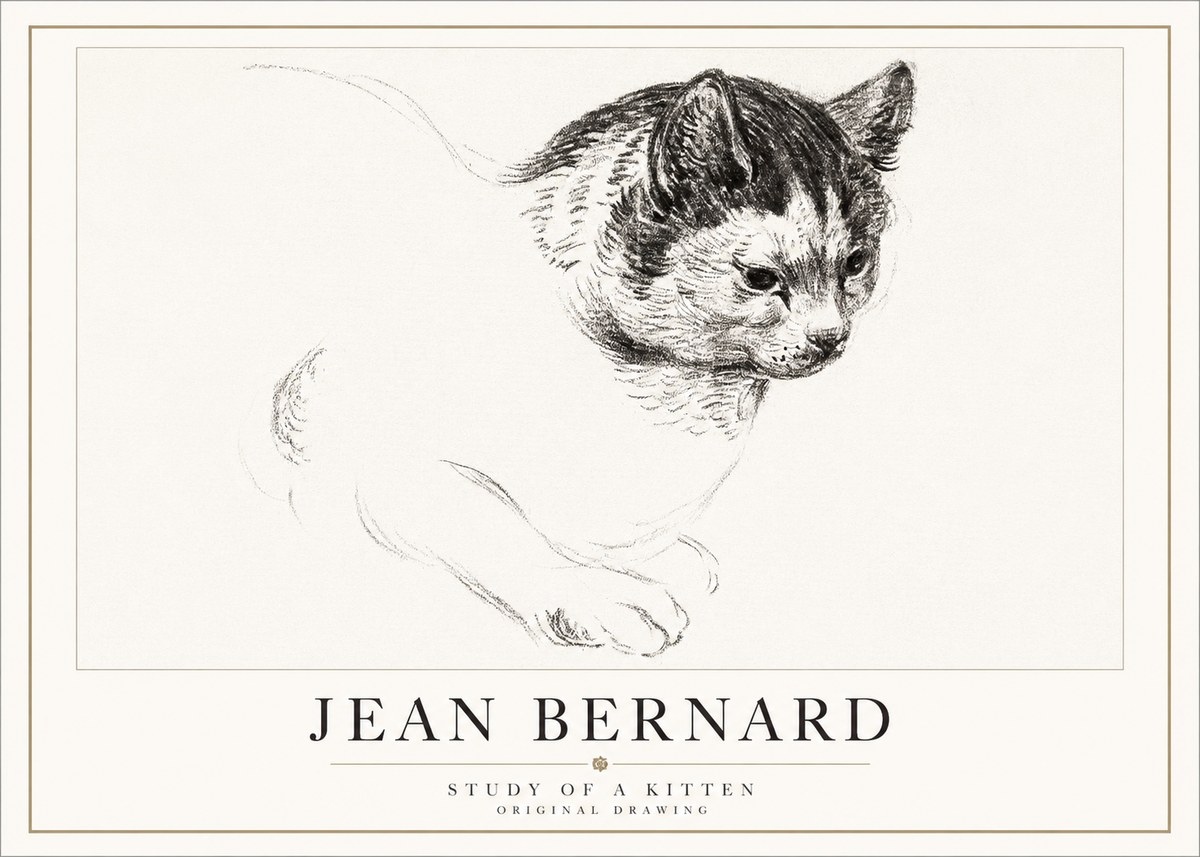 Jean Bernard Study of a Kitten I No5 - Poszter