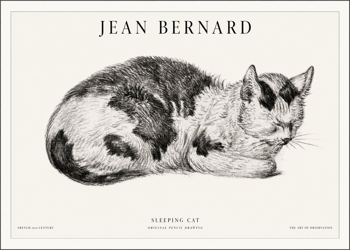 Jean Bernard Sleeping Cat I No5 - Poszter