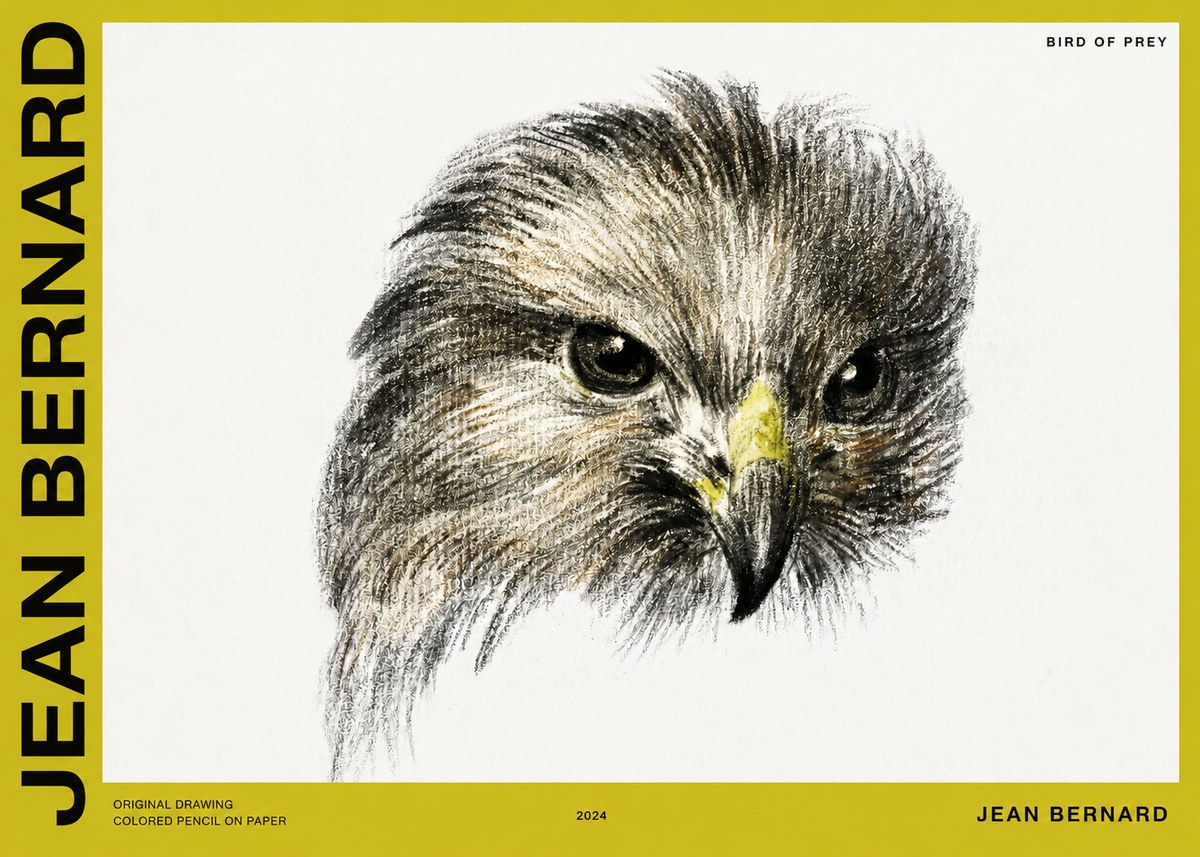 Jean Bernard Bird of Prey No2 - Poszter