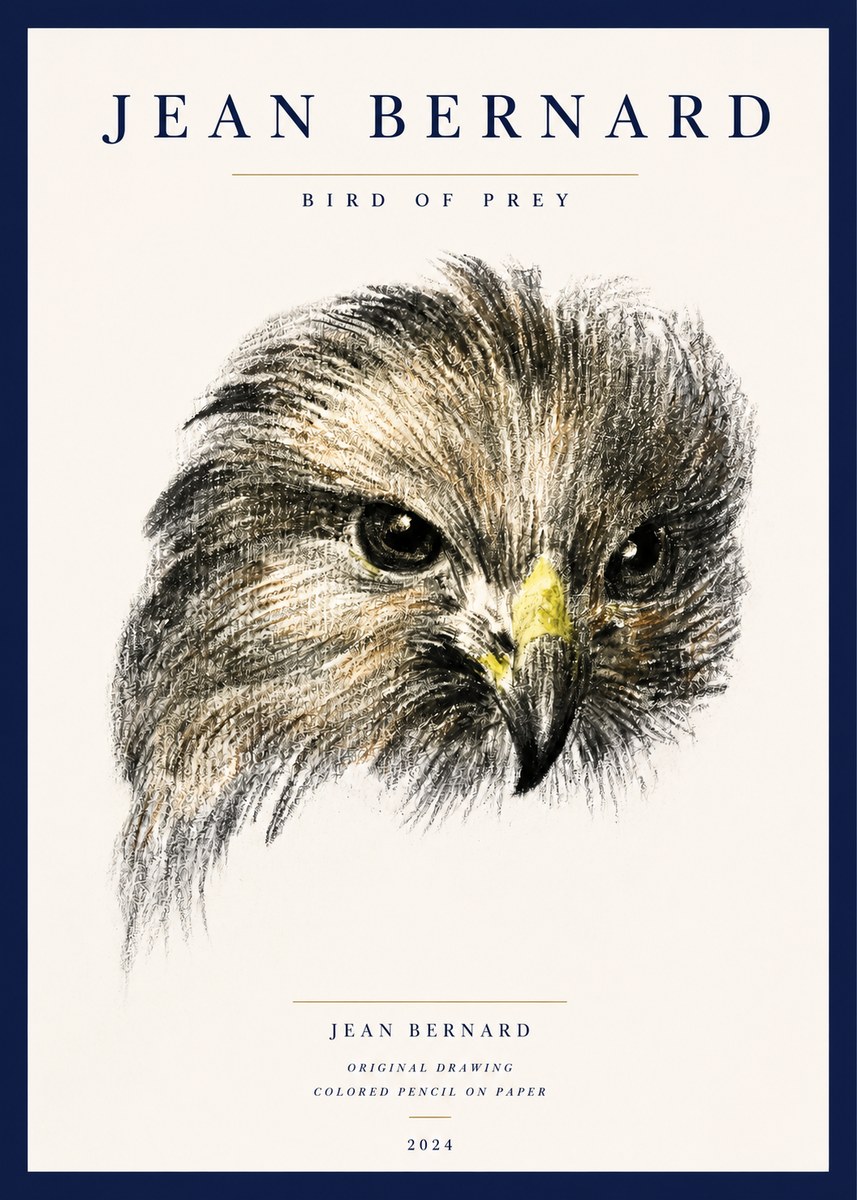 Jean Bernard Bird of Prey No3 - Poszter
