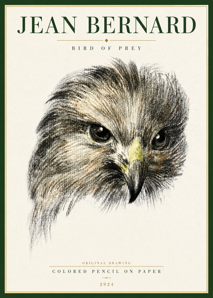 Jean Bernard Bird of Prey No4 - Poszter