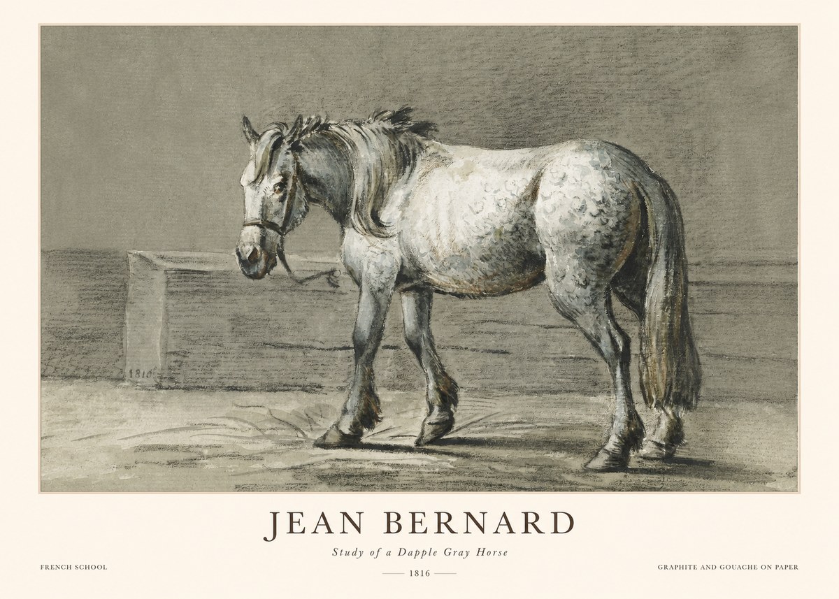 Jean Bernard Study of a Dapple Gray Horse No1 - Poszter
