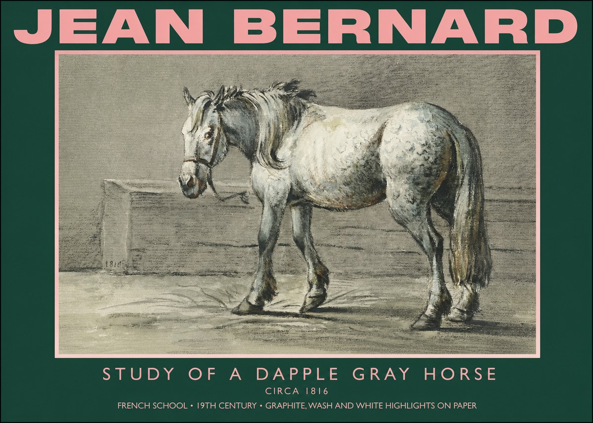 Jean Bernard Study of a Dapple Gray Horse No4 - Poszter