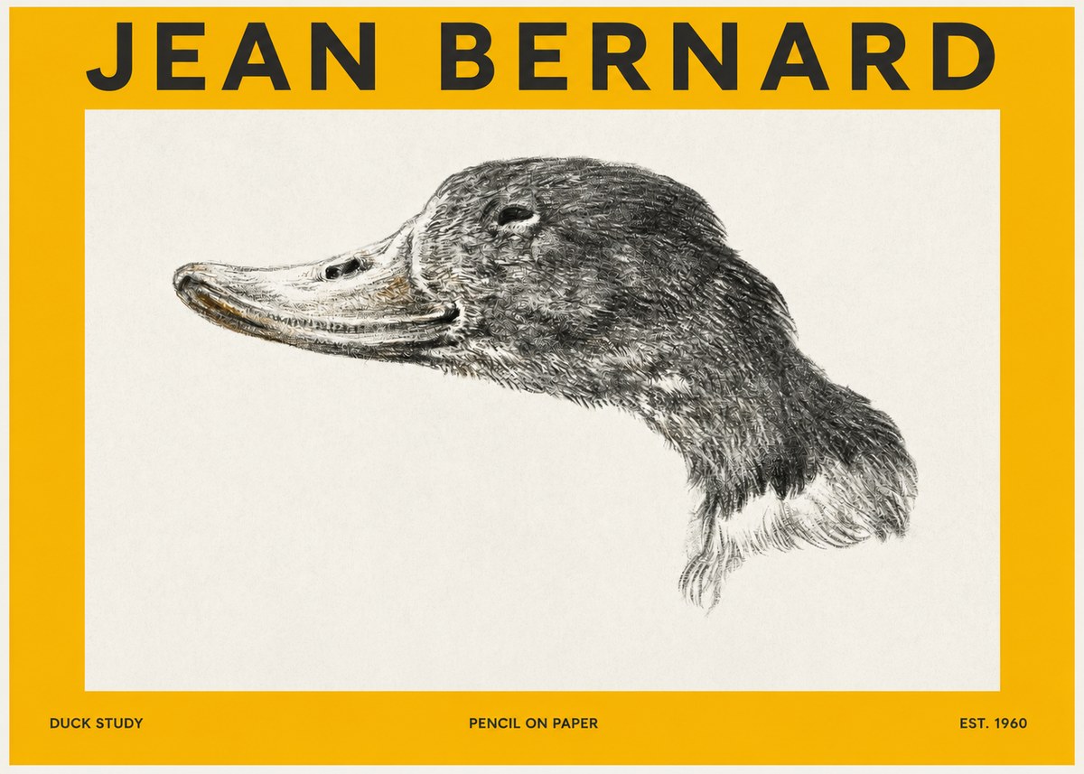 Jean Bernard Study of a Duck No3 - Poszter