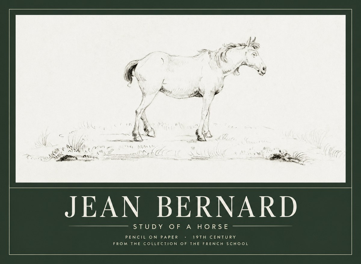 Jean Bernard Study of a Horse IV No1 - Poszter