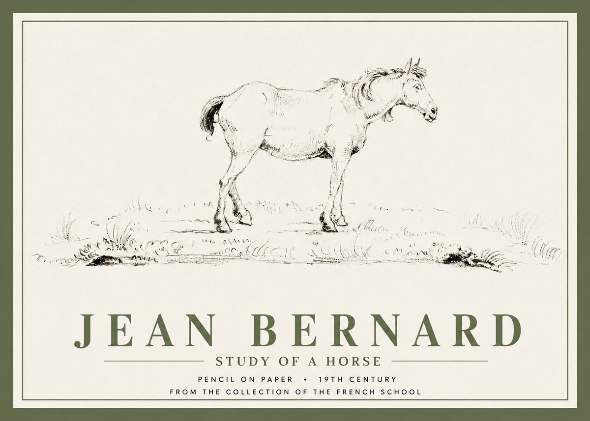 Jean Bernard Study of a Horse IV No5 - Poszter