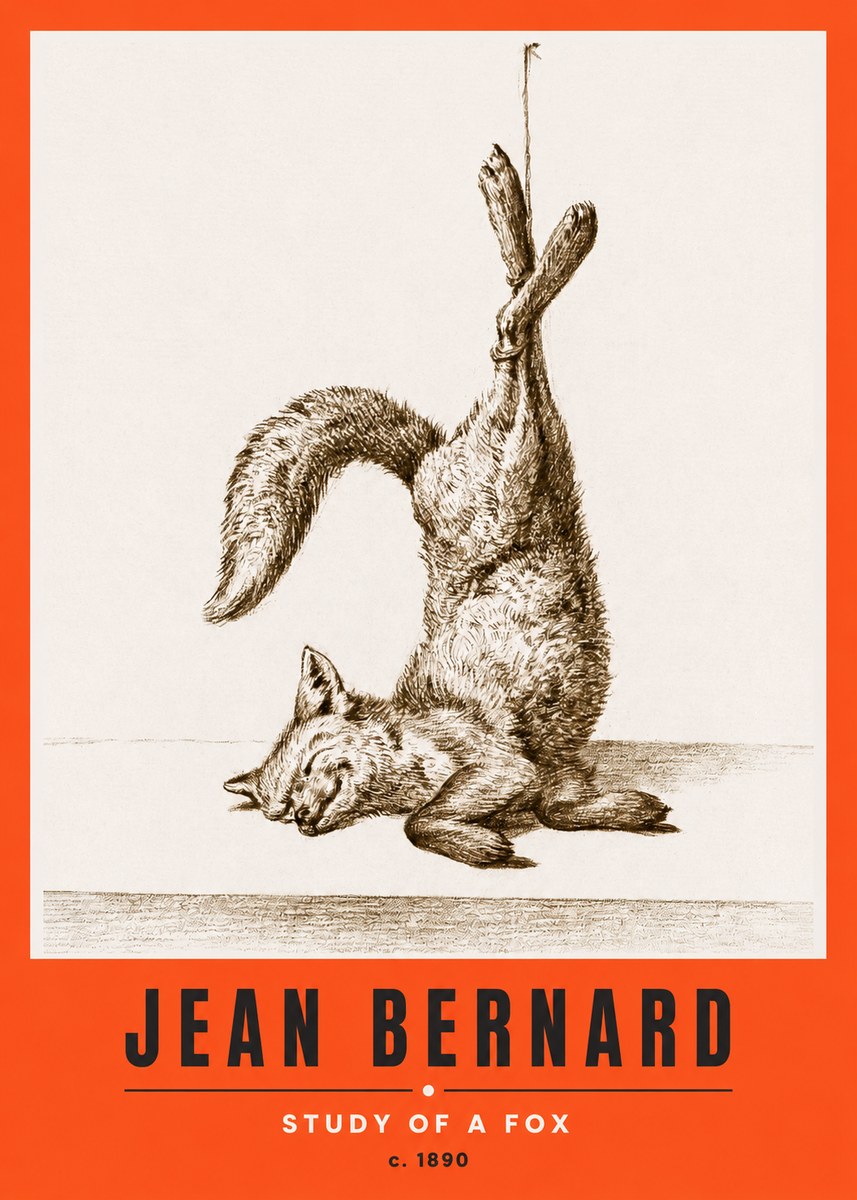 Jean Bernard Study of a Fox No2 - Poszter