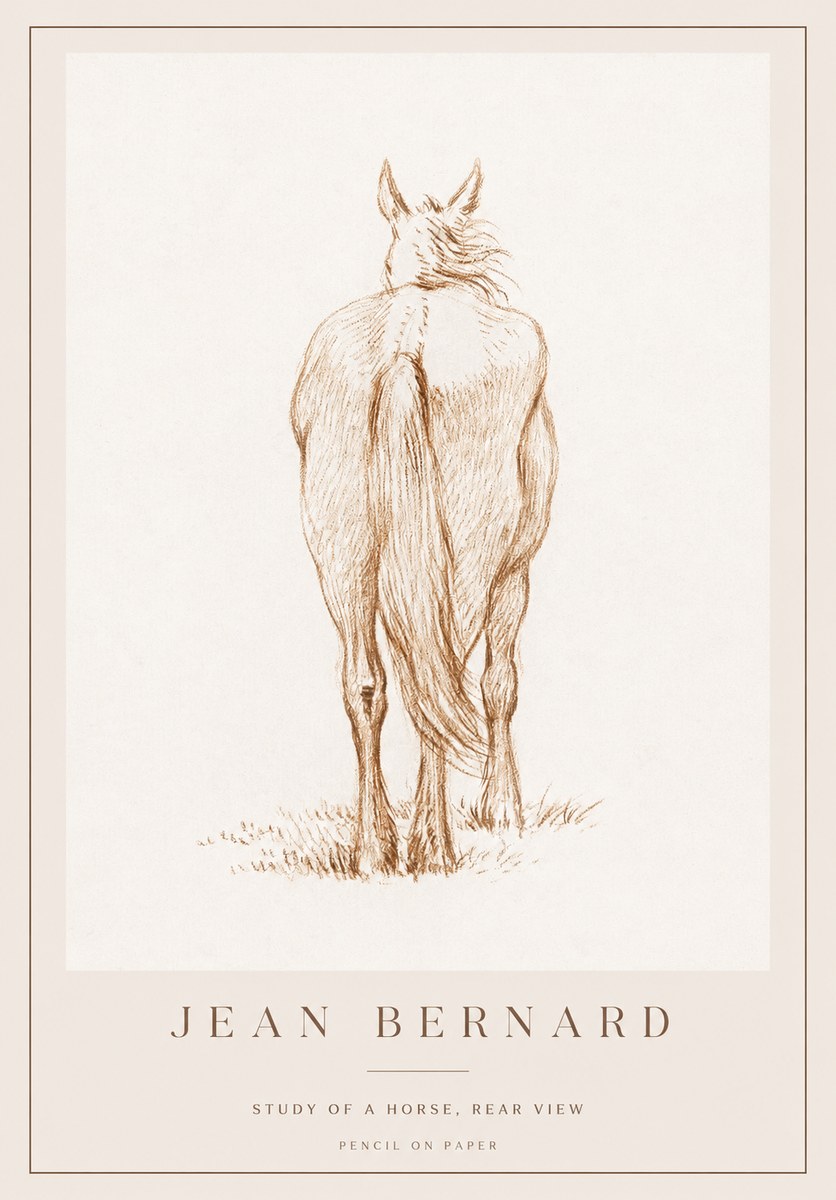 Jean Bernard Study of a Horse, Rear View No1 - Poszter