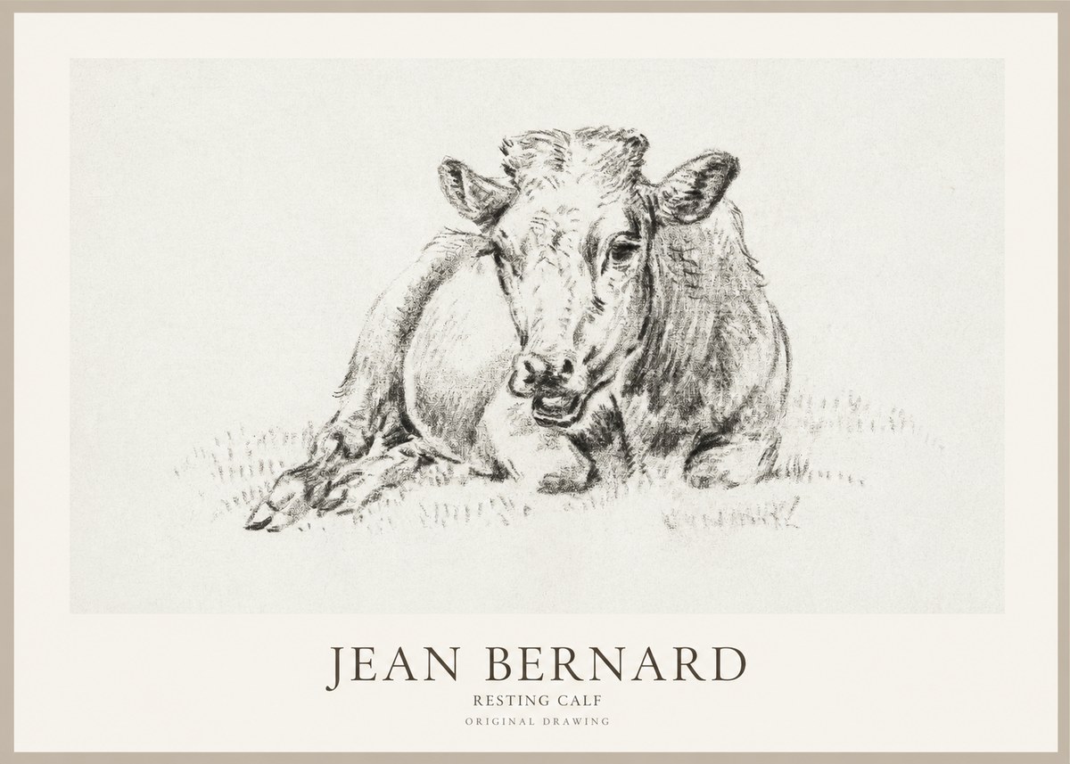 Jean Bernard Resting Calf II No1 - Poszter