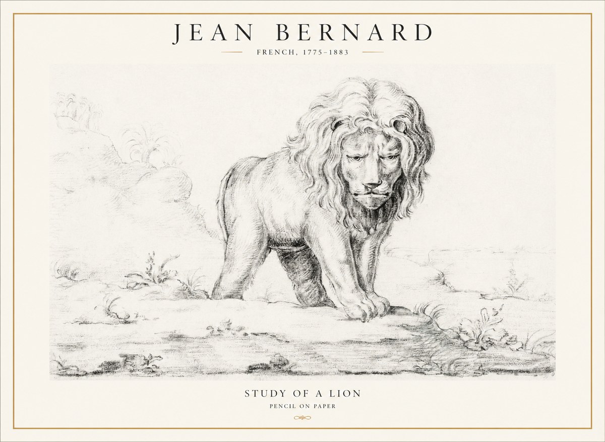 Jean Bernard Study of a Lion I No4 - Poszter
