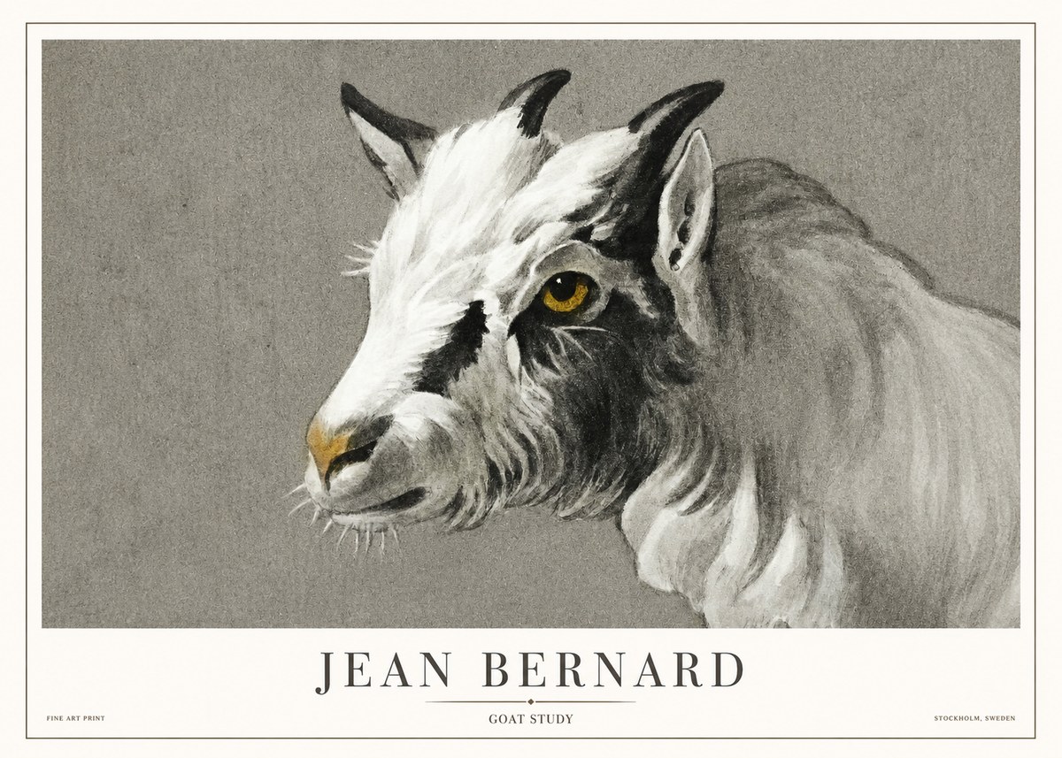 Jean Bernard Goat Study No1 - Poszter