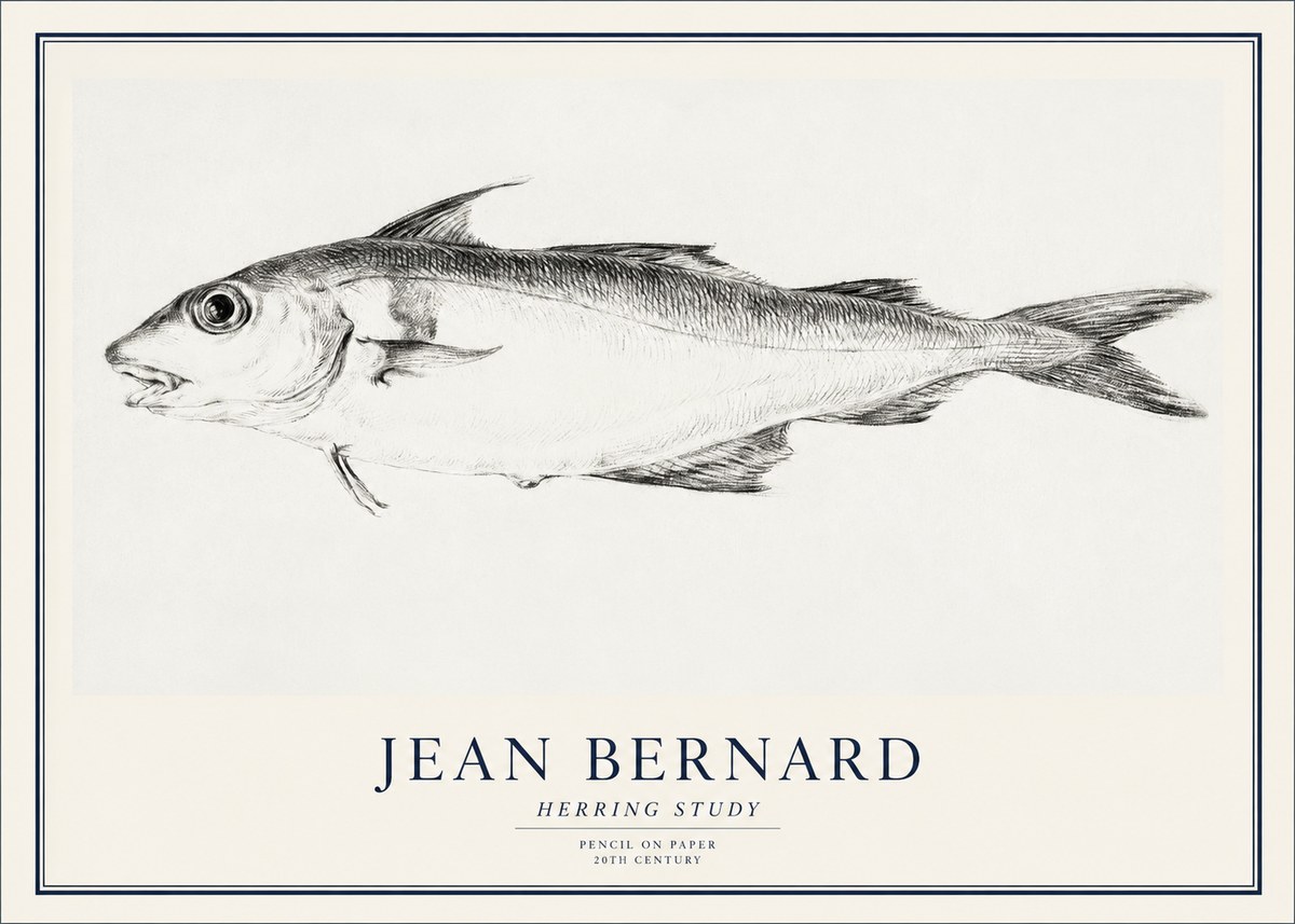 Jean Bernard Herring Study No1 - Poszter